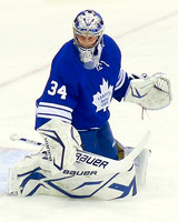 leafs photos