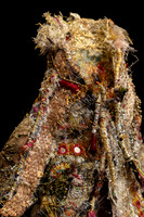 Coat1msiegeldetail_776