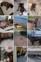 20220323_204932-COLLAGE